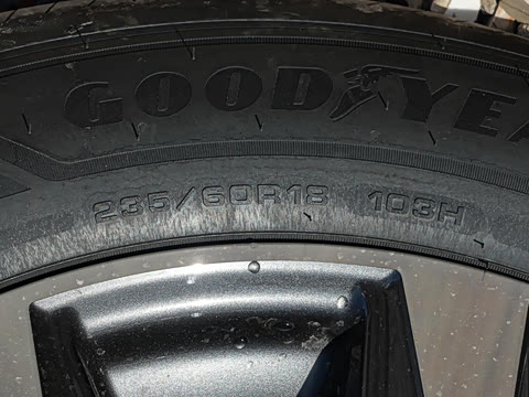 2026�� 2.0L ����������