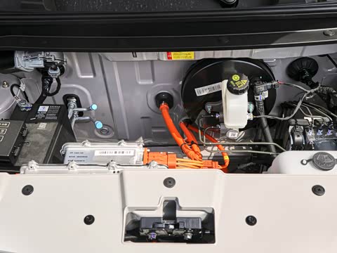 2026�� ����� 301km ���׿�