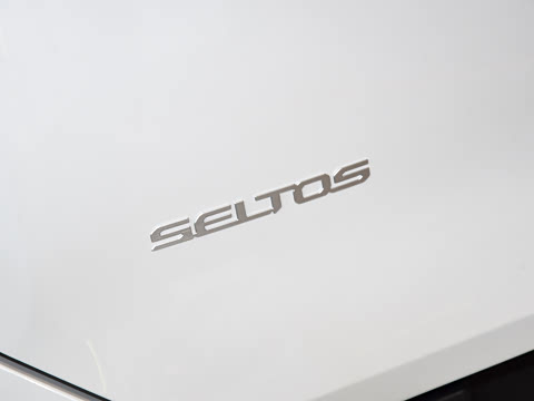 2027�� 1.5L ������