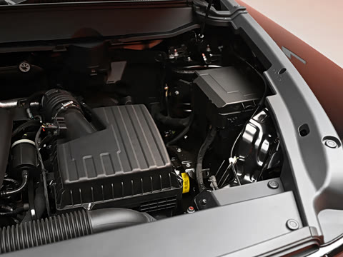 2026�� 255km ������