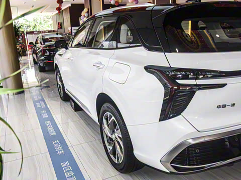 2024�� 115km ��Ϊ��