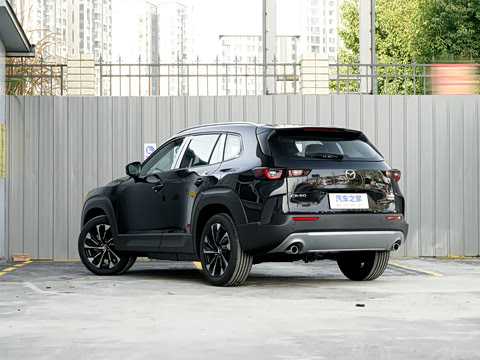 2026�� 2.5L ���а�