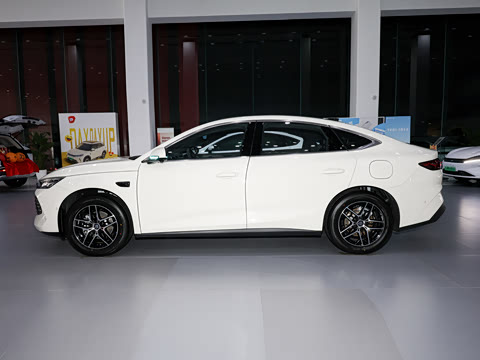 2026�� DM-i 210KM��Խ��