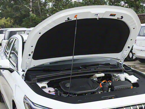 2026�� 60km̽����