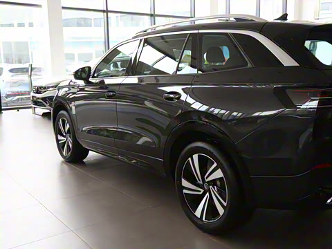 2025�� 380TSI ����R-LineѲ�� ������