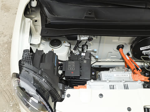 2026�� 205km ������