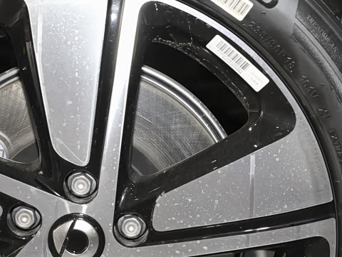 2026�� �鶯��������