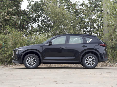 2025�� 2.0L �Զ�����������