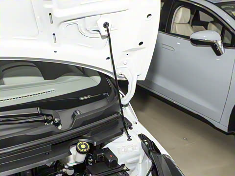 2026�� PLUS+ ������