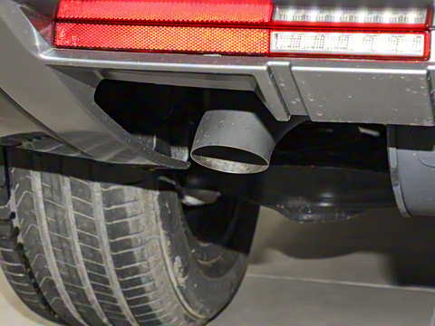 2025�� �����콢�� 5��