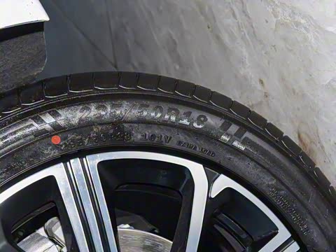 2025�� 130 �����