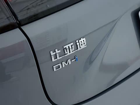 2026�� DM-i 230KM��Խ��