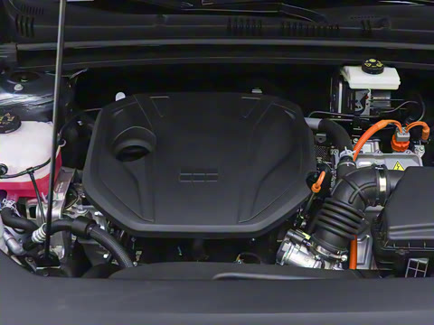 2026�� 125km̽��+��