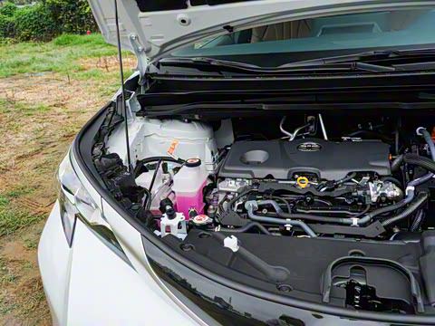 2026�� 2.5L ˫������������