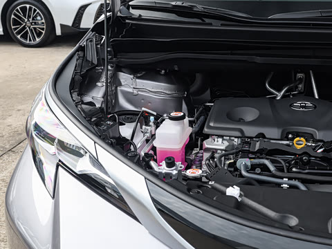 2026�� 2.5L ˫������������