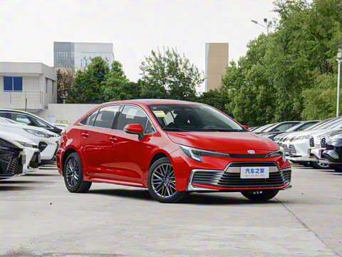 2024�� ���ܵ��˫�� 2.0L ������