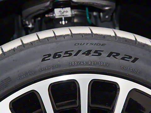 2026�� ���� Max�������� 5��