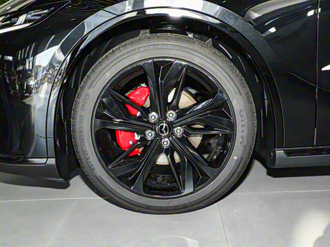 2025�� ����200�����˶���