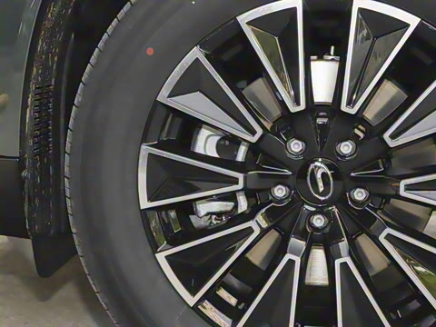 2025�� 205km Pro+��