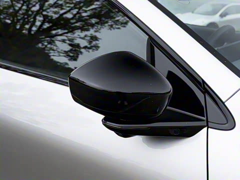 2026�� ���� ������