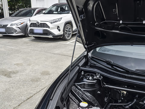 2026�� ������ JOY