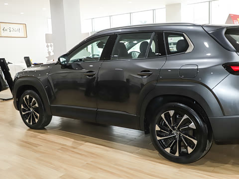 2026�� 2.5L ���а�