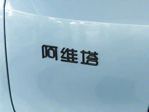 2026�� Elite �����