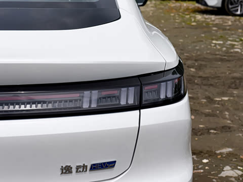 2026�� 1.5L �������� ������