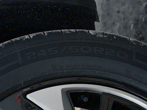 2025�� 150 �캽+��