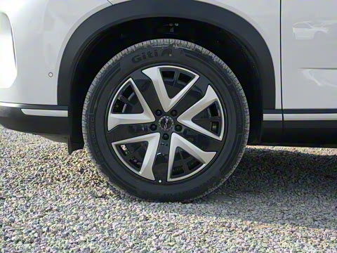 2025�� 150 �캽+��