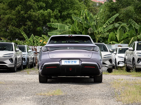 2026�� 620����Plus��