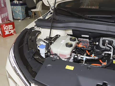 2026�� 565km ������