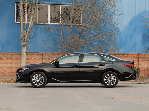 2026�� 2.0L ��ѡ��