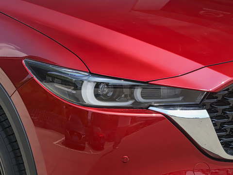 2025�� 2.0L �Զ���������Pro