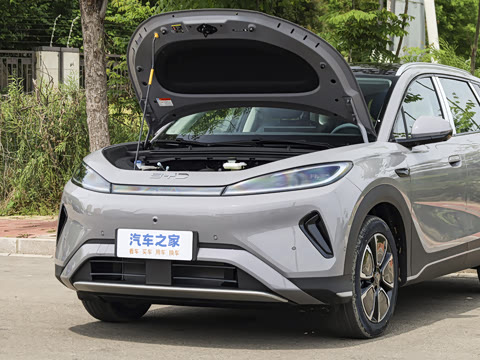 2026�� DM-i 305�Ǻ���