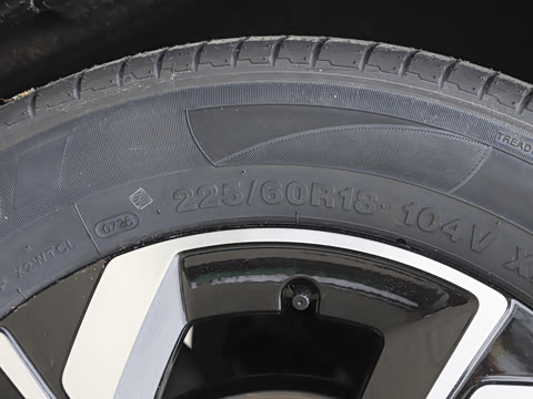 2026�� 530Խ����
