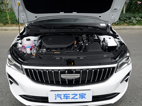 2027�� ���� 1.5L �ֶ�������