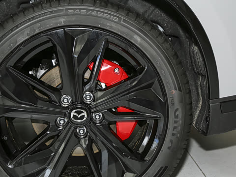 2025�� ����600�����˶���