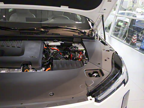 2026�� ������������Core