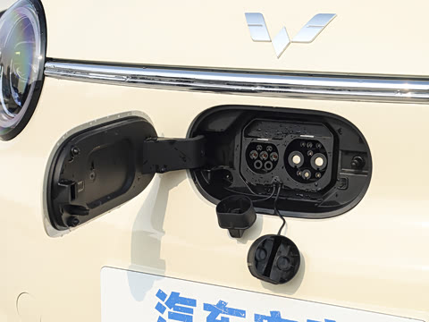 2026�� ����� 205km ���׿�