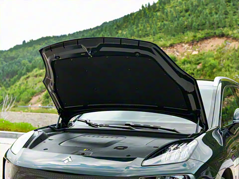 2025�� �Ŀ� 350 Max���������״��