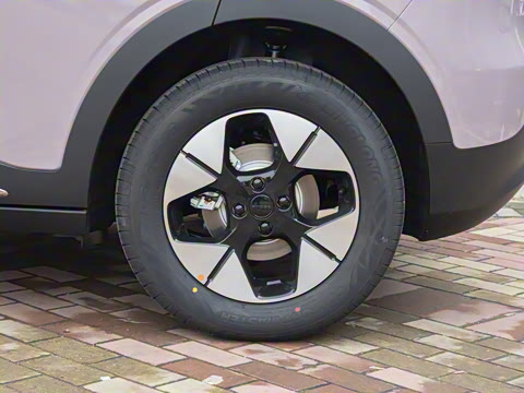 2026�� 310km �����