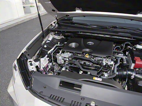 2026�� 2.0G ����