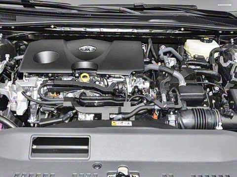 2026�� ˫�� 2.0HXS �˶�Plus��