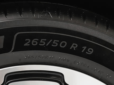 2026�� ���� ������