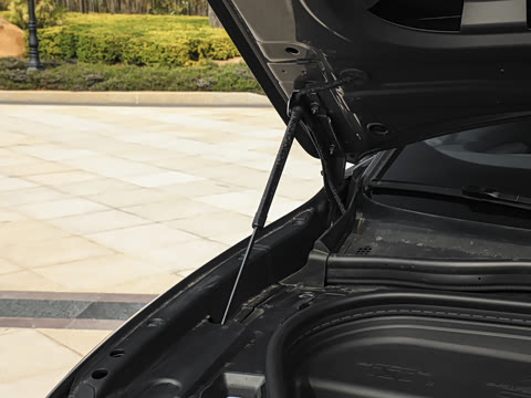 2026�� quattro Ǭ���Ǽݰ�