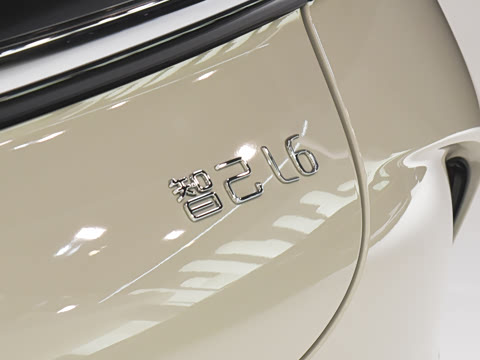2026�� Max