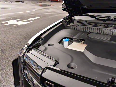 2025�� 520���������