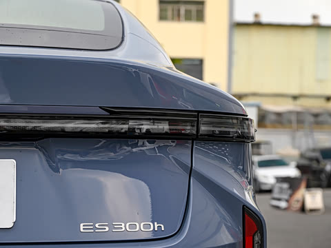 2026�� 300h