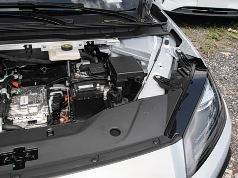 2026�� 520�Ǻ���